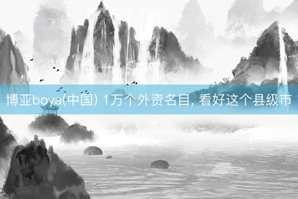 博亚boya(中国) 1万个外资名目, 看好这个县级市