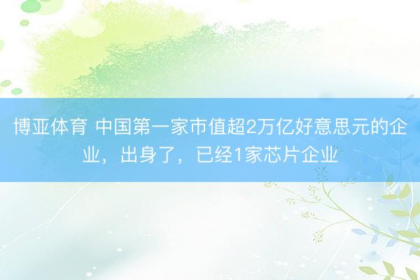 博亚体育 中国第一家市值超2万亿好意思元的企业，出身了，已经1家芯片企业