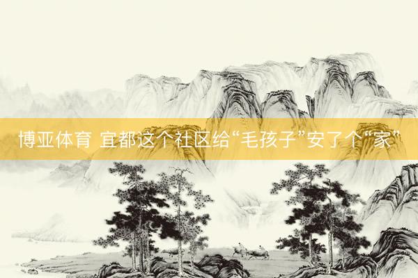 博亚体育 宜都这个社区给“毛孩子”安了个“家”
