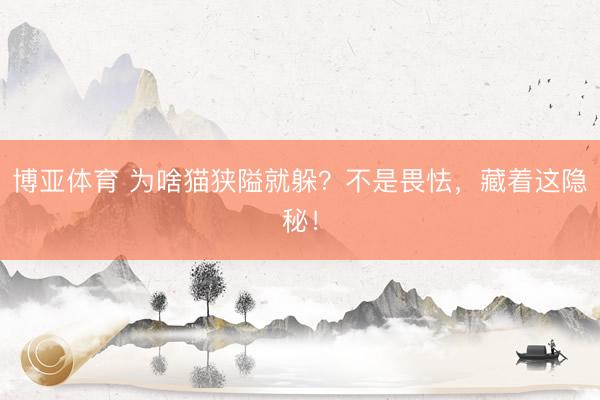 博亚体育 为啥猫狭隘就躲？不是畏怯，藏着这隐秘！
