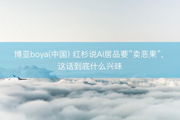 博亚boya(中国) 红杉说AI居品要”卖恶果”， 这话到底什么兴味