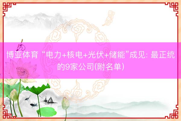 博亚体育 “电力+核电+光伏+储能”成见: 最正统的9家公司(附名单)
