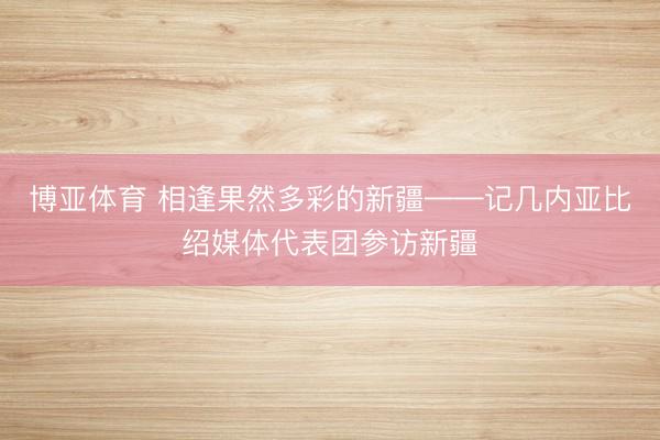 博亚体育 相逢果然多彩的新疆——记几内亚比绍媒体代表团参访新疆
