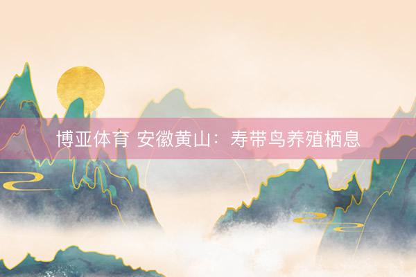 博亚体育 安徽黄山：寿带鸟养殖栖息