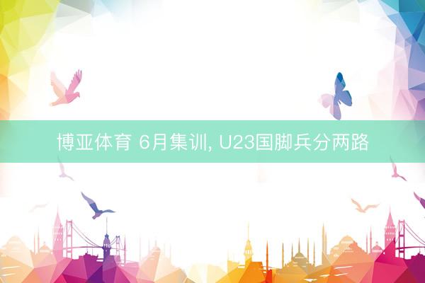 博亚体育 6月集训, U23国脚兵分两路