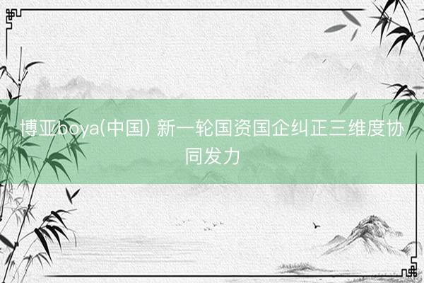 博亚boya(中国) 新一轮国资国企纠正三维度协同发力