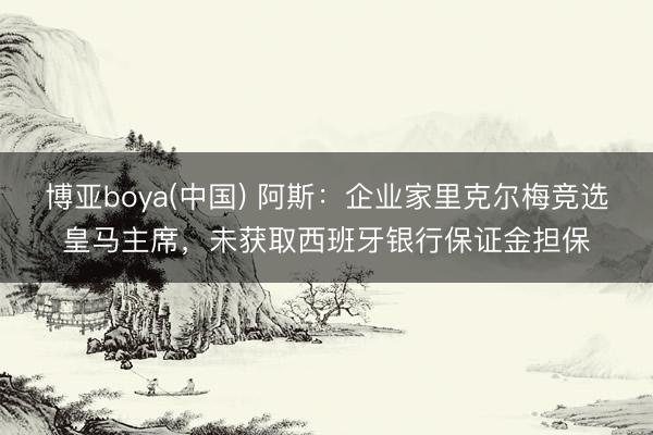 博亚boya(中国) 阿斯：企业家里克尔梅竞选皇马主席，未获