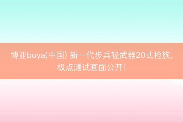 博亚boya(中国) 新一代步兵轻武器20式枪族，极点测试画面公开！