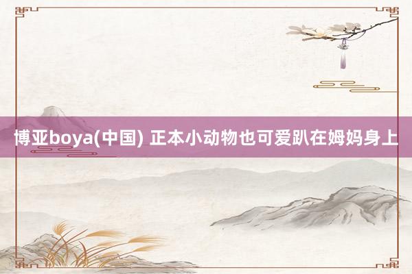 博亚boya(中国) 正本小动物也可爱趴在姆妈身上