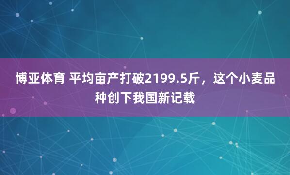 博亚体育 平均亩产打破2199.5斤，这个小麦品种创下我国新记载
