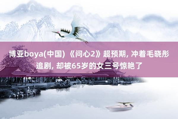 博亚boya(中国) 《问心2》超预期, 冲着毛晓彤追剧, 却被65岁的女三号惊艳了